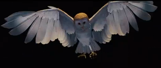 Jareth the owl from Labyrinth