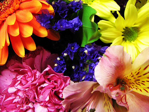 Bunch of Flowers by corrieb via flickr