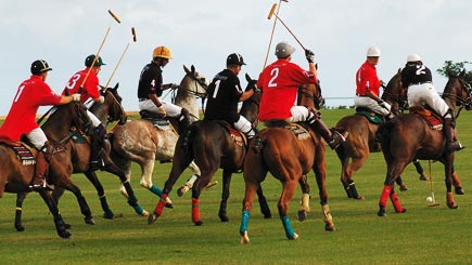 Polo player experience
