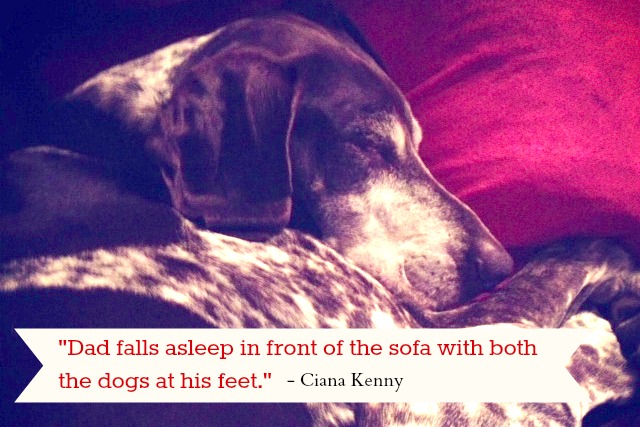ciana kenny dogs blog