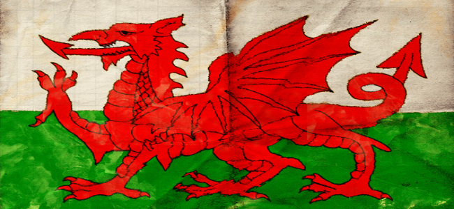 The Welsh Dragon on the flag of Wales.