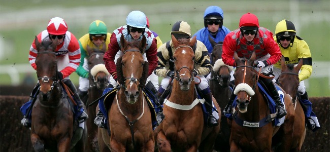 It's time to go racing at Cheltenham Races.