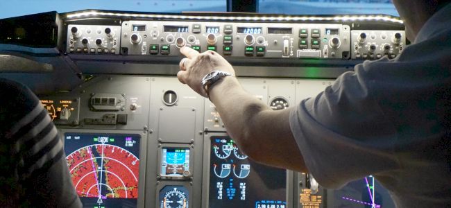 Flight simulator controls