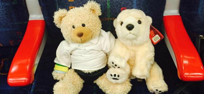 Tube travelling teddies - Bring Your Teddy Bear to Work Day